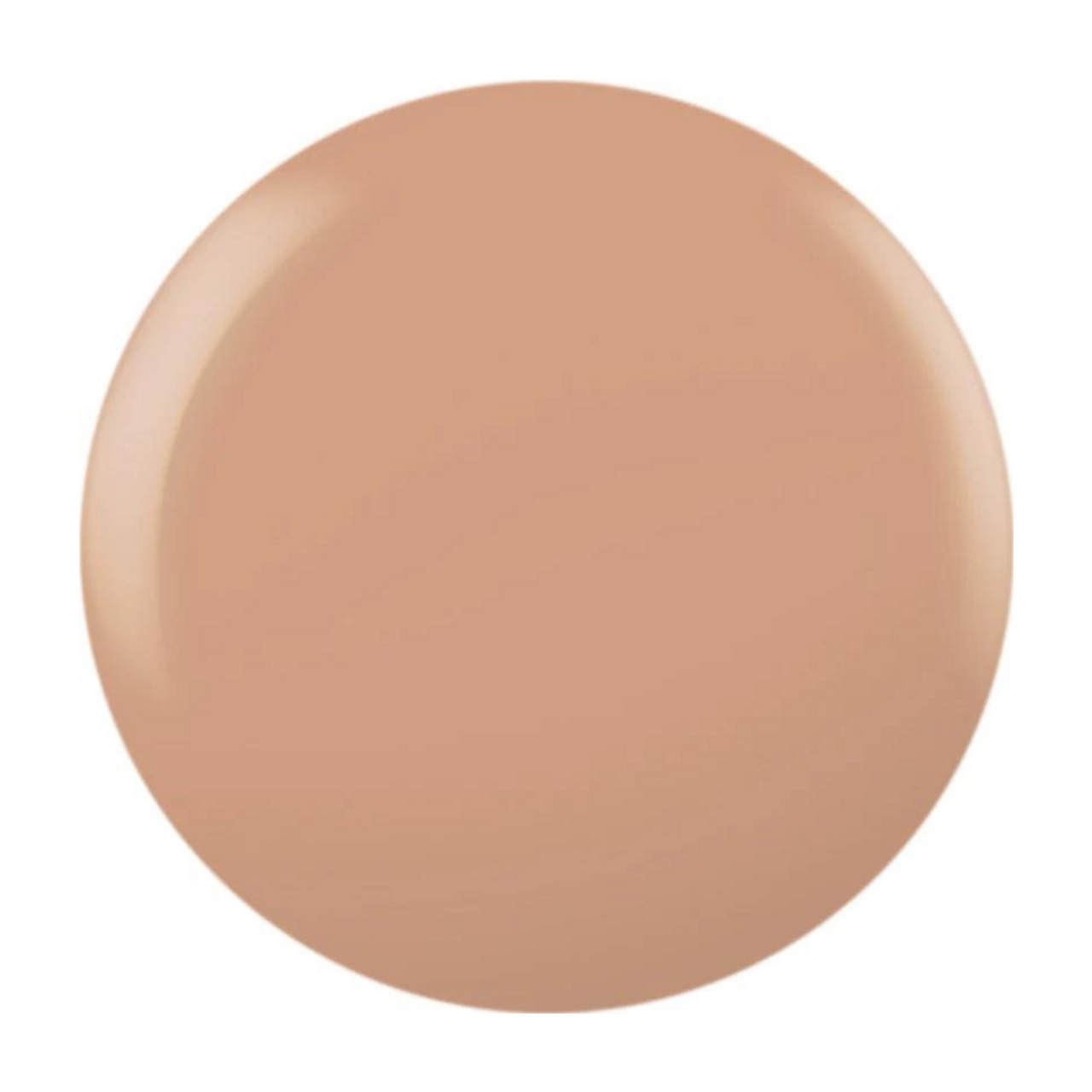 Shellac- Brimstone - Chino Beige