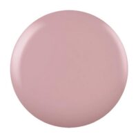Shellac - Nude Knickers - Light Nude Opaque
