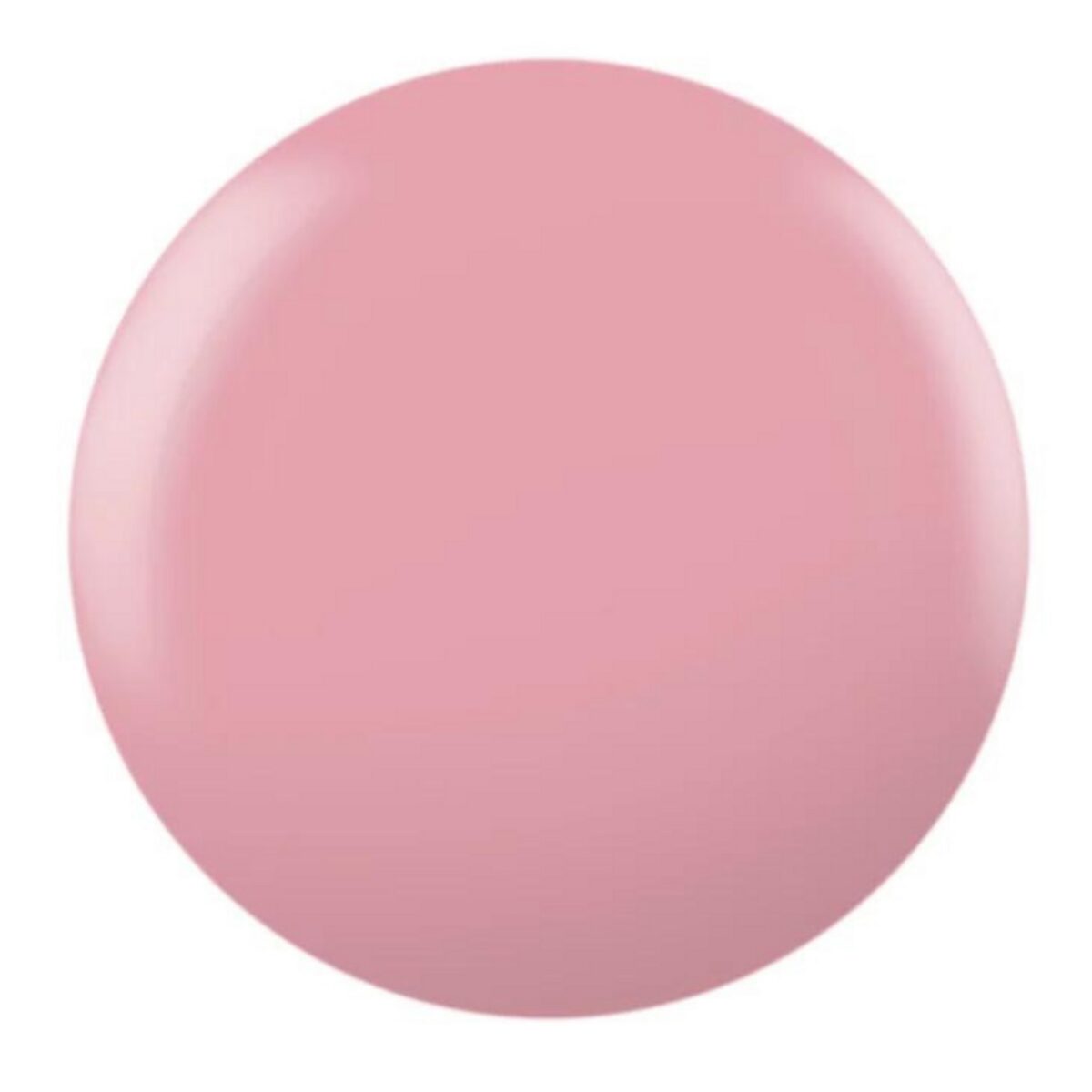 Pink Shellac Colours Shellac - Pacific Rose - Rosy Pink - Creative Academy